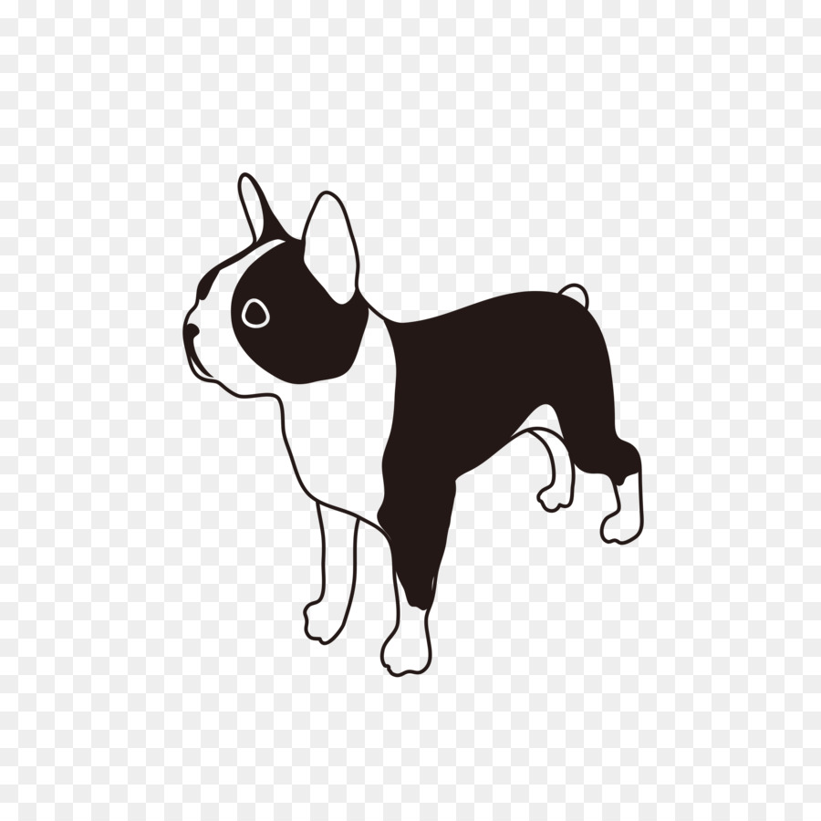 Boston Terrier Puppy Dog breed French Bulldog - puppy png download - 2186*2186 - Free Transparent Boston Terrier png Download.