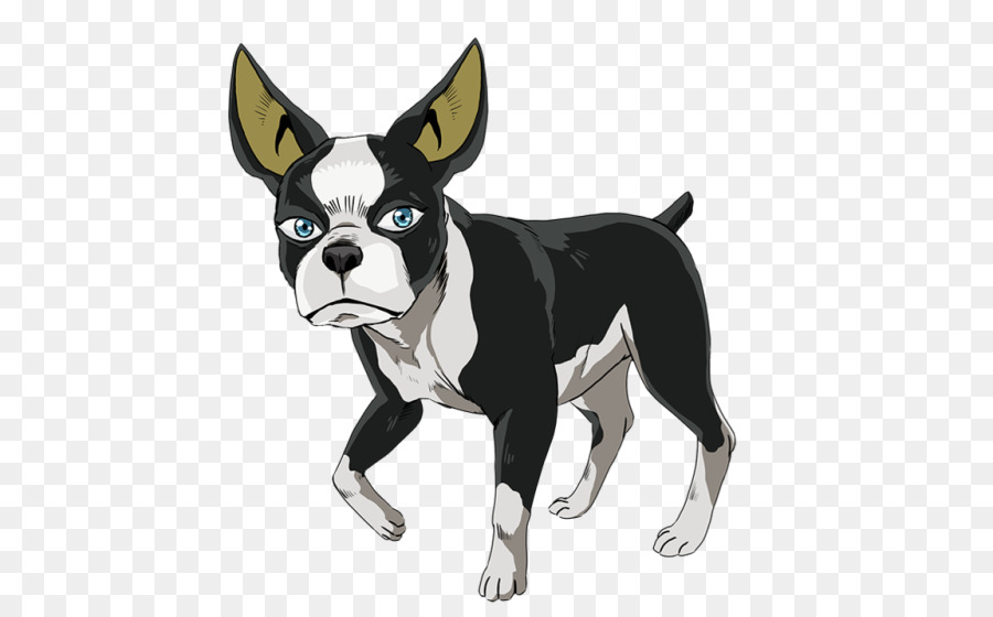 Boston Terrier Dog breed Non-sporting group Breed group (dog) Snout - BOSTON TERRIER png download - 500*559 - Free Transparent Boston Terrier png Download.
