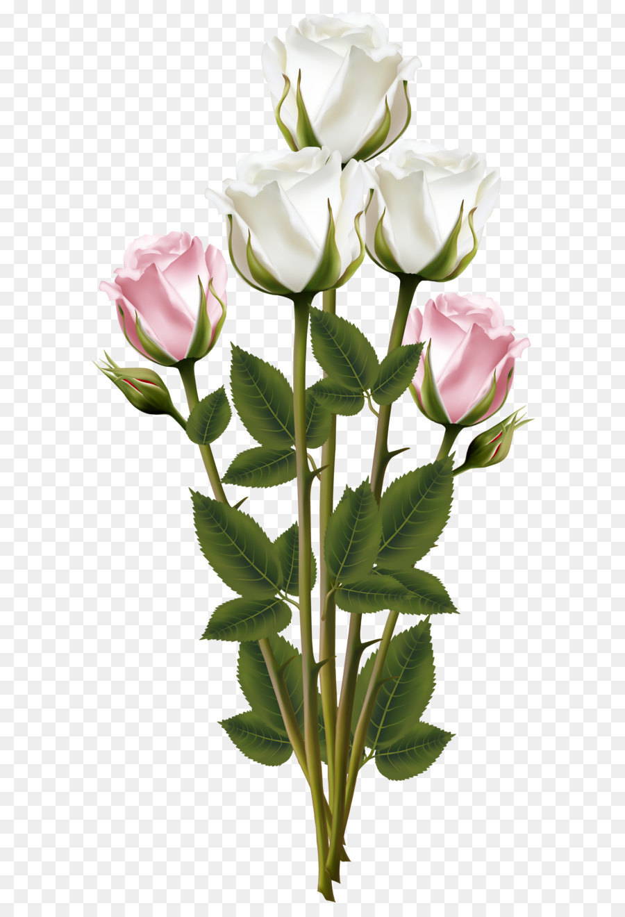 Flower bouquet Scalable Vector Graphics - White and Pink Rose Bouquet Transparent PNG Clip Art Image png download - 3463*7000 - Free Transparent Rose png Download.