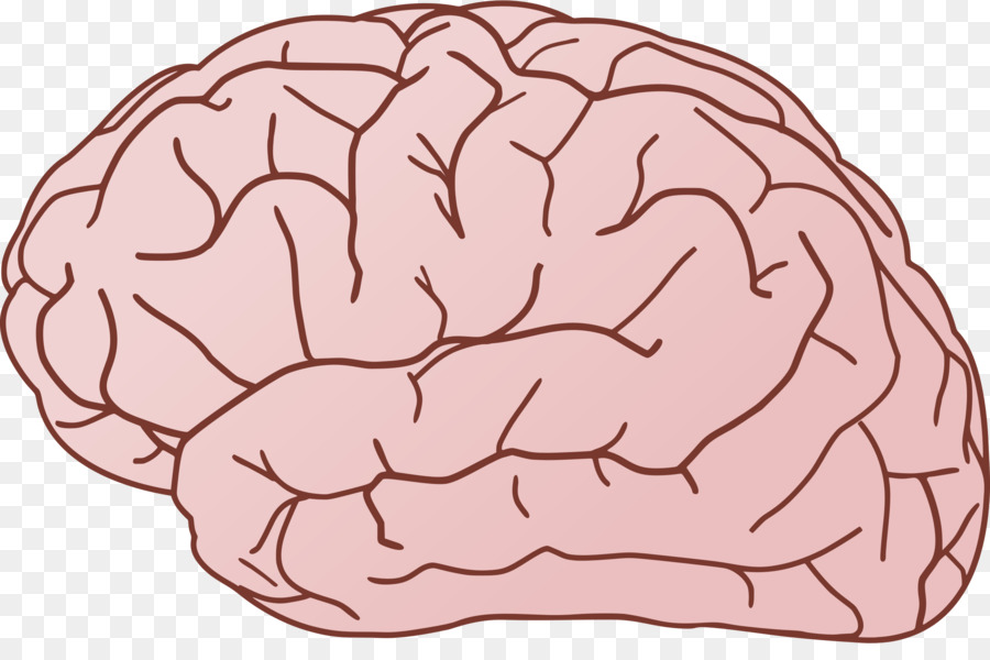 Human brain Clip art - Brain Games Cliparts png download - 2400*1560 - Free Transparent  png Download.