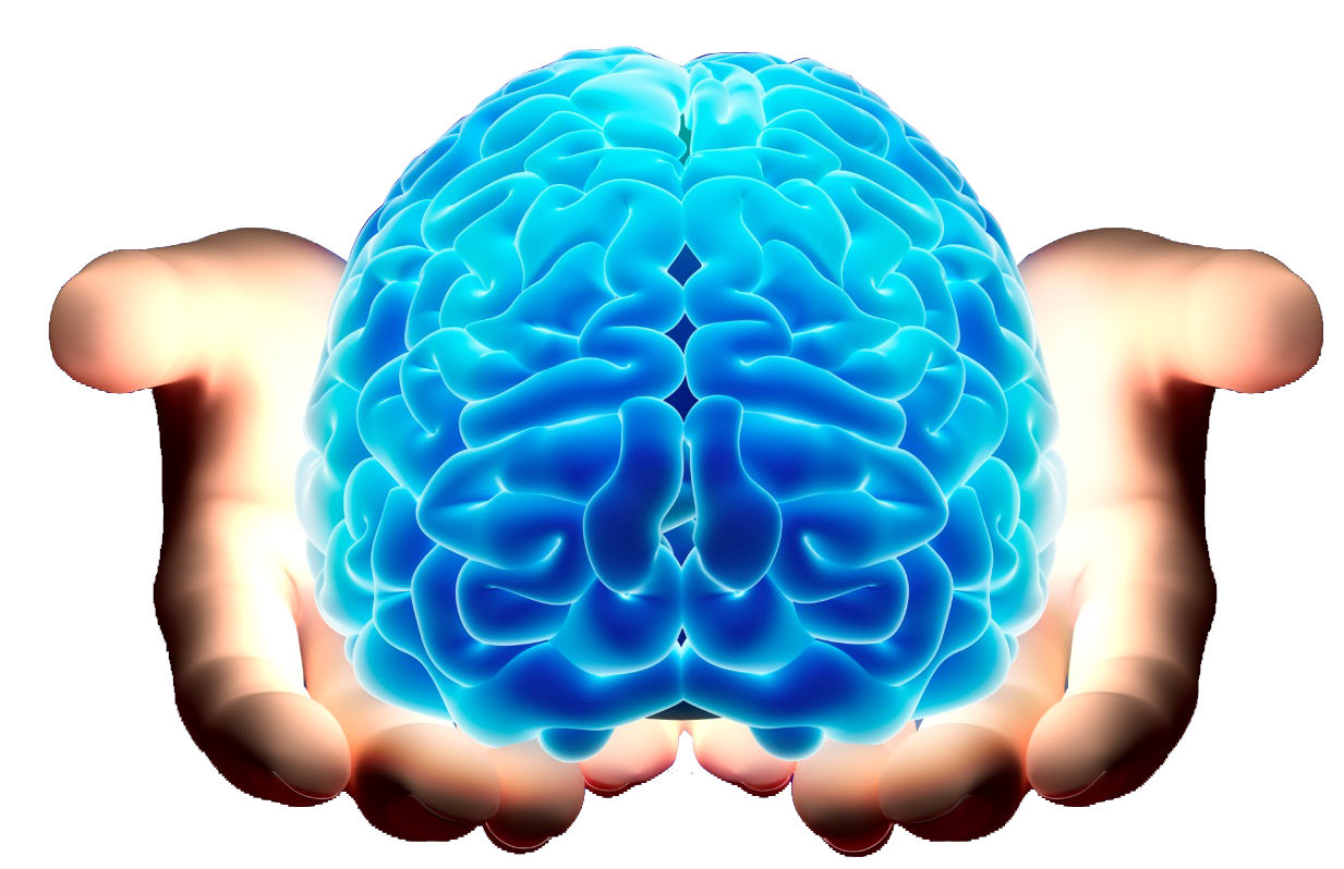 Brain Png Transparent Background Free Download 2523 F - vrogue.co