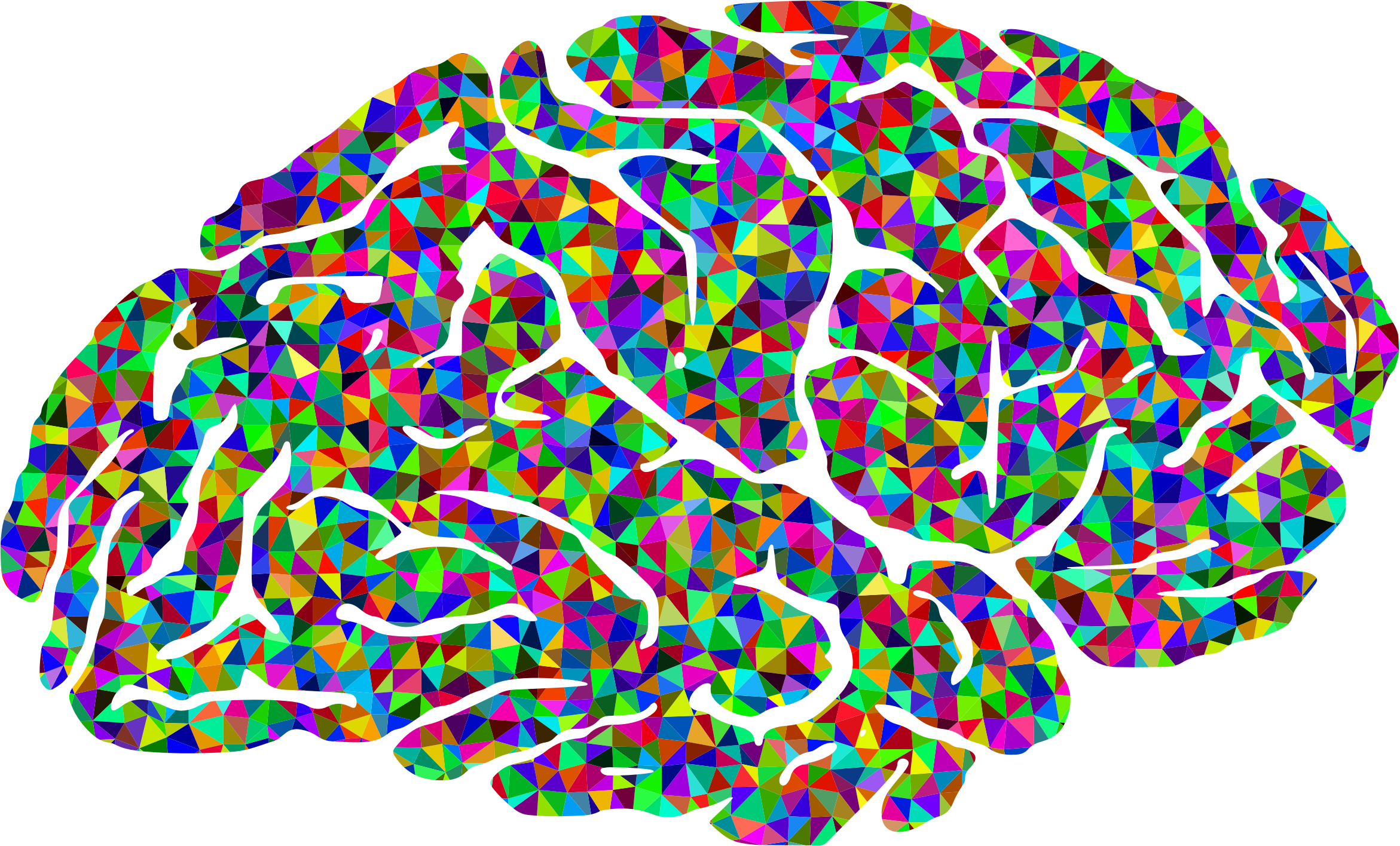 Human brain Color Clip art - Brain png download - 2342*1416 - Free ...