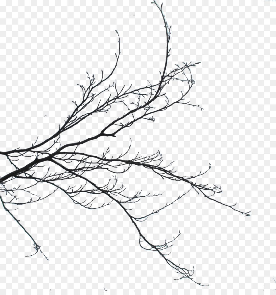 Twig Branch Bud Sketch Plant stem - abandoned pattern png download - 3285*3456 - Free Transparent Twig png Download.