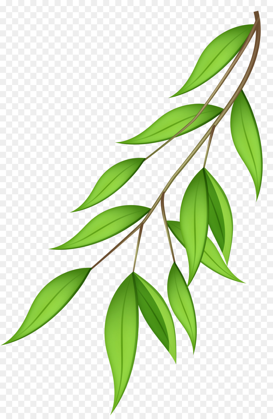 Branch Tree Clip art - Green Branch Cliparts png download - 5256*8000 - Free Transparent Branch png Download.