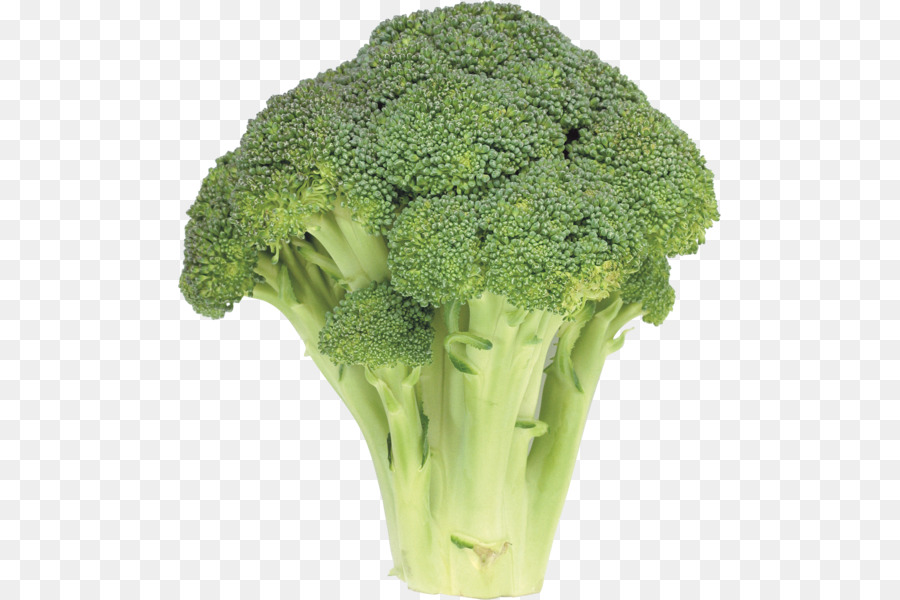 Broccoli Cruciferous vegetables Cabbage Caesar salad - broccoli png download - 543*600 - Free Transparent Broccoli png Download.