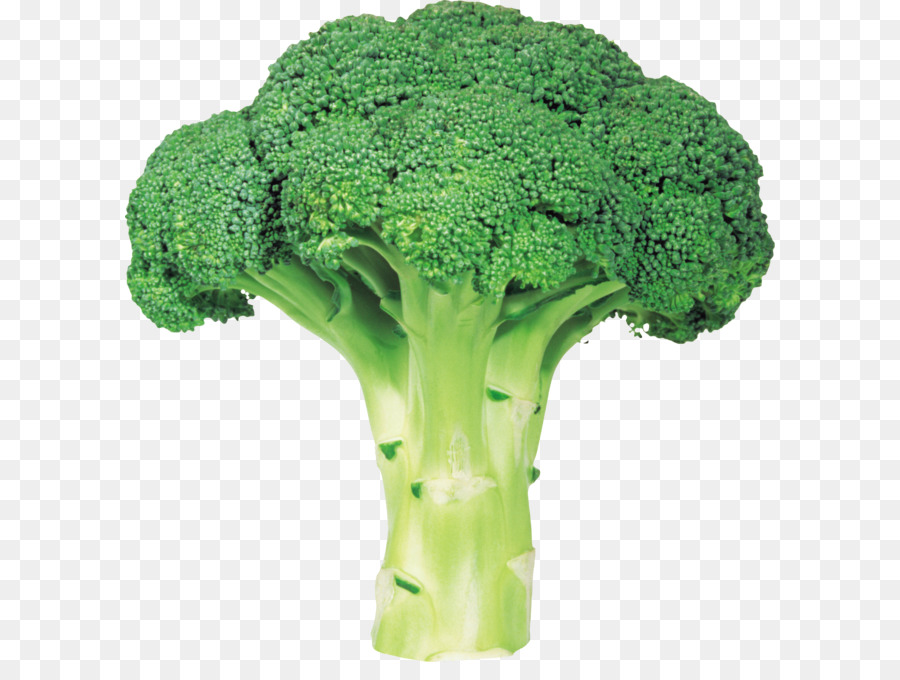 Broccoli Vegetable - Broccoli PNG image with transparent background png download - 2165*2205 - Free Transparent Broccoli Slaw png Download.