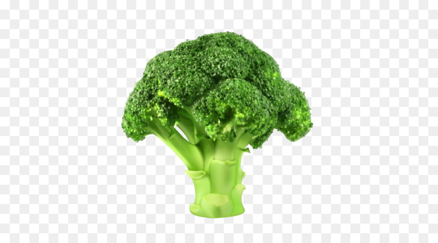 Broccoli Vegetable Clip art - broccoli png download - 500*500 - Free Transparent Broccoli png Download.