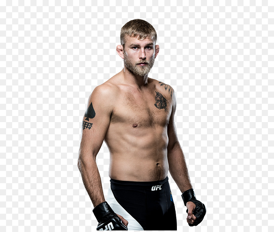 Alexander Gustafsson UFC 192: Cormier vs. Gustafsson UFC Fight Night 109: Gustafsson vs. Teixeira Light heavyweight Mixed martial arts - brock lesnar png download - 504*755 - Free Transparent  png Download.