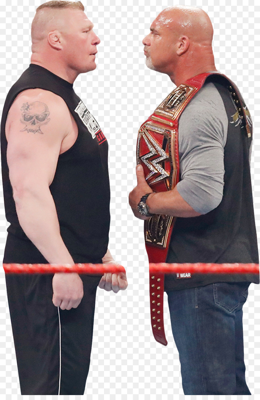 Brock Lesnar Roman Reigns WrestleMania 33 Professional Wrestler Professional wrestling - brock lesnar png download - 1020*1545 - Free Transparent  png Download.