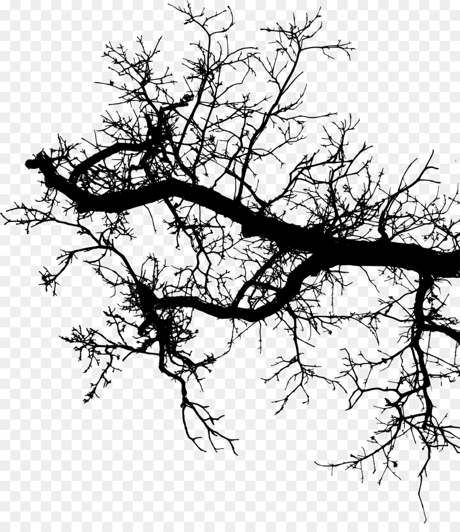Twig Branch Silhouette Drawing - branches silouhette png download - 2425*2756 - Free Transparent Twig png Download.
