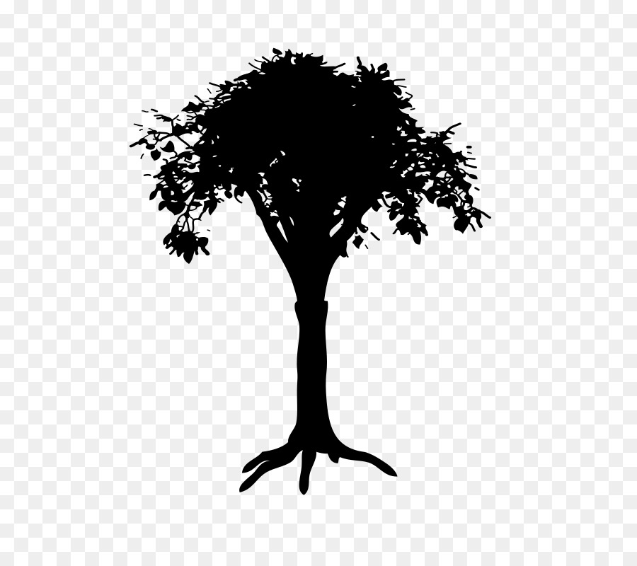 Branch Silhouette Tree Drawing - Silhouette png download - 618*800 - Free Transparent Branch png Download.