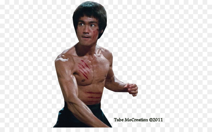 Statue of Bruce Lee Martial Arts Master: The Life of Bruce Lee Kato Bruce Lee: Quest of the Dragon - cartoon bruce lee png download - 550*541 - Free Transparent  png Download.