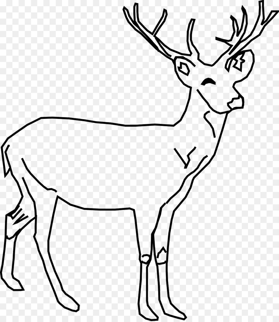 White-tailed deer Red deer Drawing Clip art - deer illustration png download - 1111*1280 - Free Transparent Whitetailed Deer png Download.