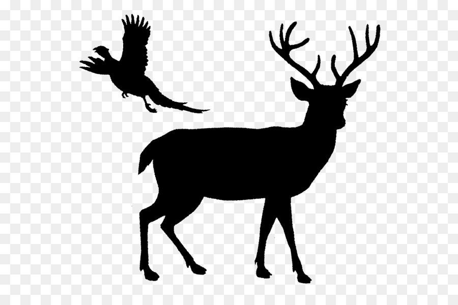 White-tailed deer Reindeer Elk - deer png download - 600*600 - Free Transparent Deer png Download.
