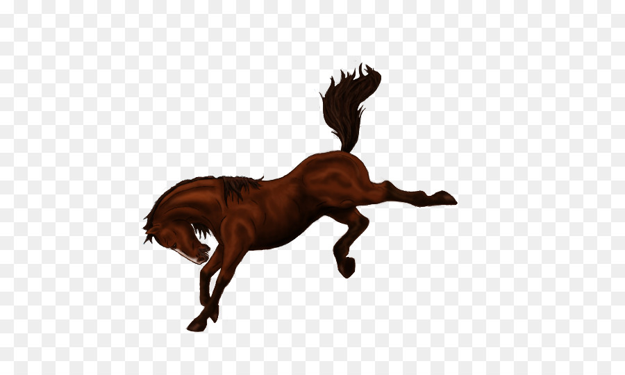Horse Bucking Stallion Bronco Mane - horse png download - 600*525 - Free Transparent Horse png Download.