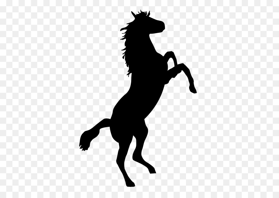 Horse Bronco Stallion Bronc riding Clip art - horse png download - 640*640 - Free Transparent Horse png Download.