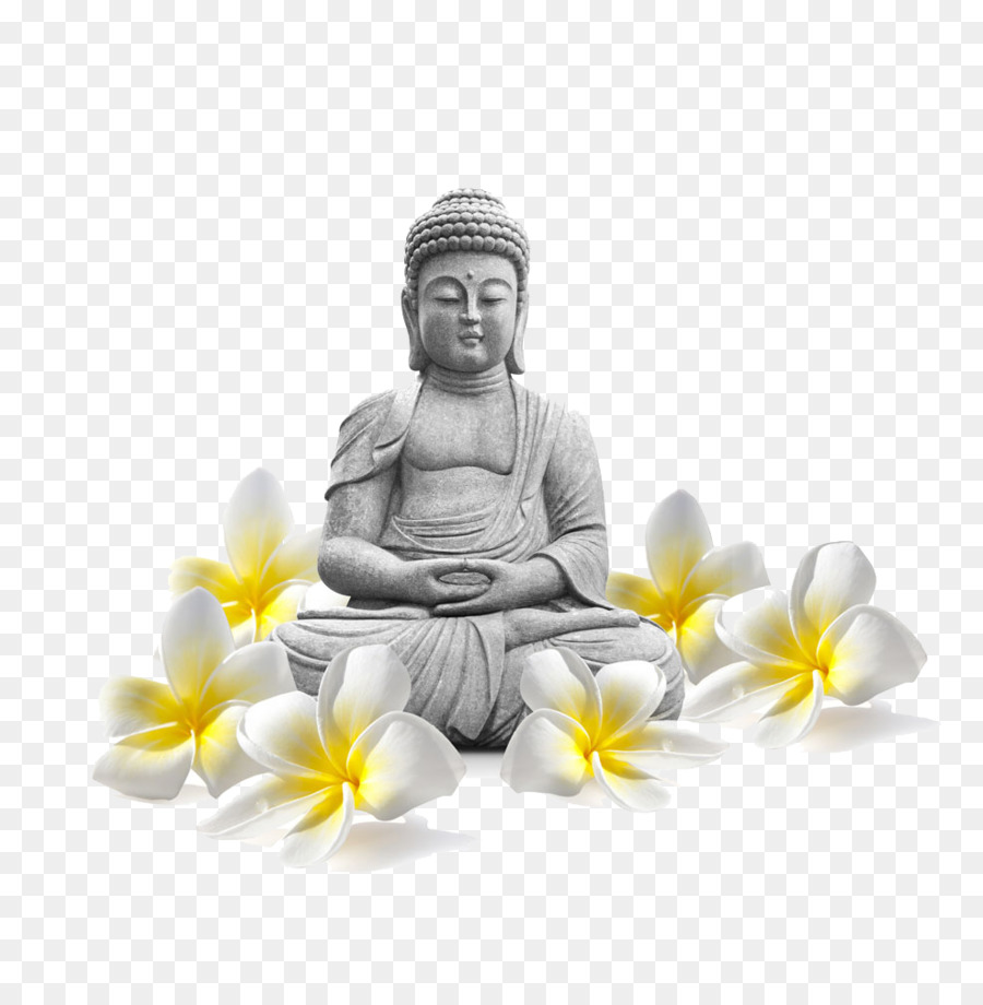Buddharupa Proxy list Buddhism Icon - Buddha Statue png download - 987*1000 - Free Transparent Tian Tan Buddha png Download.