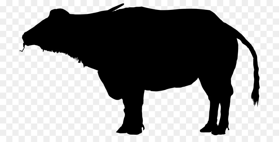 Water buffalo Silhouette Bison Clip art - Silhouette png download - 800*450 - Free Transparent Water Buffalo png Download.