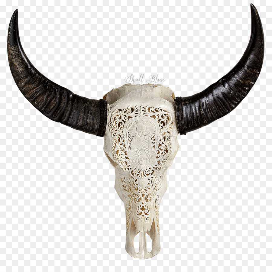 Skull Horn Buffalo American bison Bone - carved png download - 1000*1000 - Free Transparent Skull png Download.