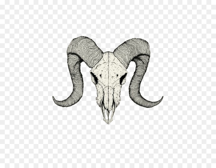 Skull Tattoo Drawing Sketch - Goat skull png download - 493*700 - Free Transparent Skull png Download.