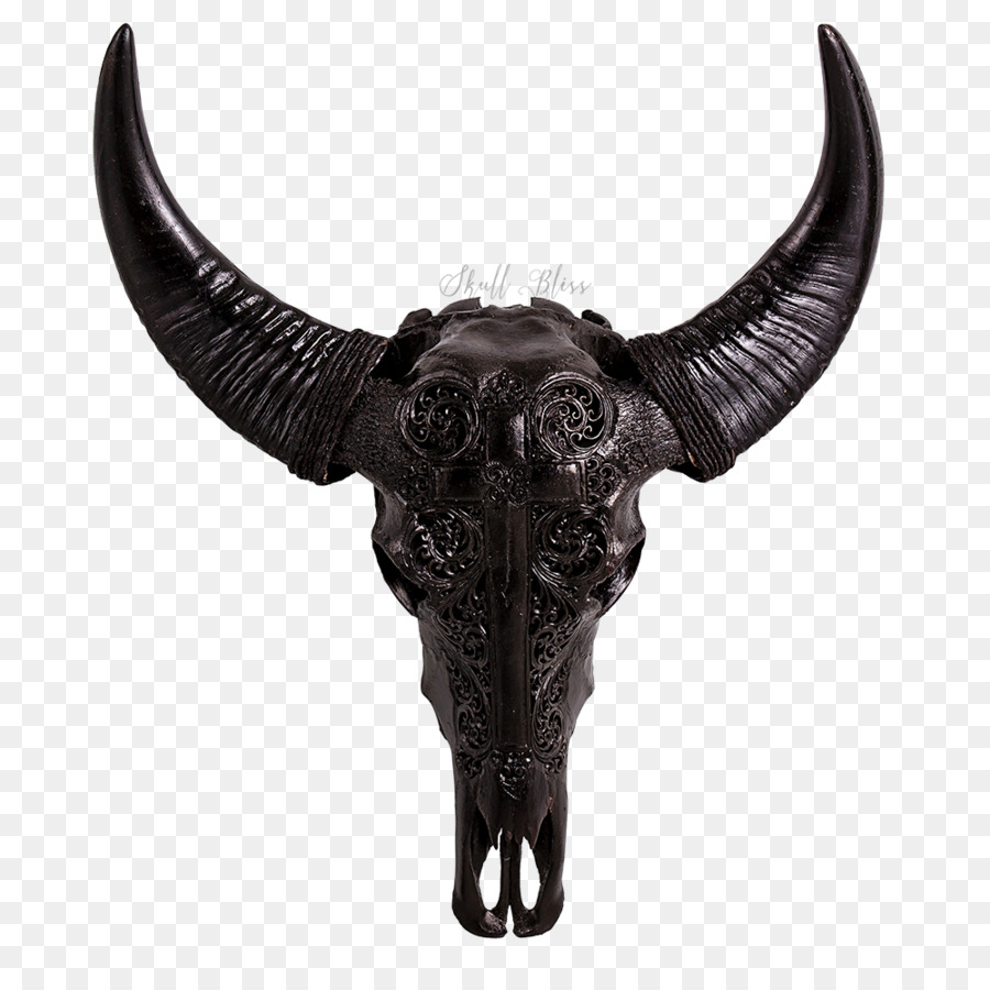 Cattle Horn Animal Skulls Water buffalo - skull png download - 1000*1000 - Free Transparent Cattle png Download.