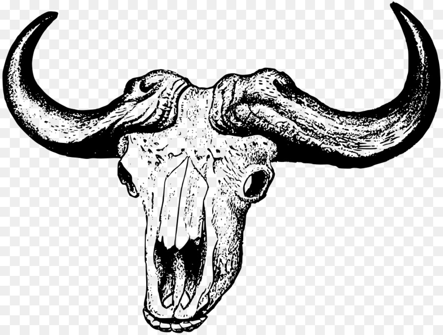 African buffalo Skull Cattle American bison Clip art - skull png download - 1000*755 - Free Transparent African Buffalo png Download.