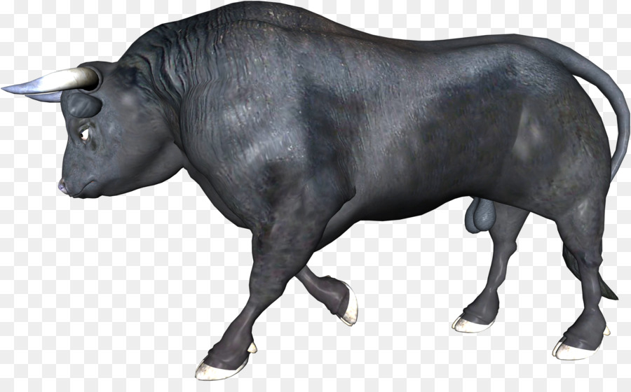 Zebu Ox Bull Water buffalo - bull png download - 2395*1451 - Free Transparent Zebu png Download.