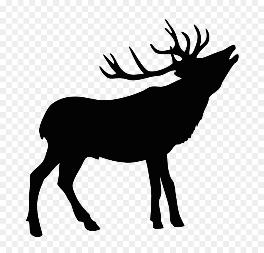 Elk Estate - Inverloch Holiday Accomodation Moose Deer - deer antler png download - 921*860 - Free Transparent Elk png Download.