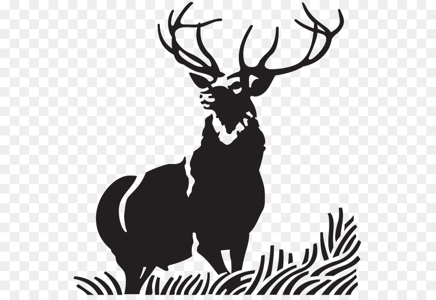 Red deer Elk Moose Clip art - deer png download - 600*611 - Free Transparent Deer png Download.