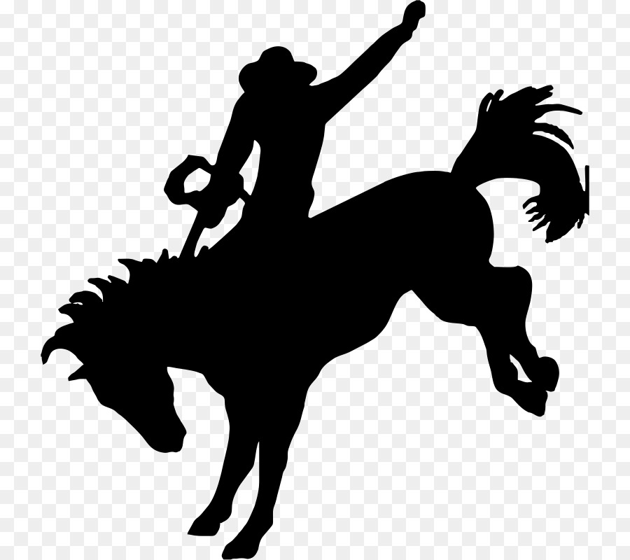 Horse Bronc riding Bronco Bucking Clip art - horse png download - 784*800 - Free Transparent Horse png Download.