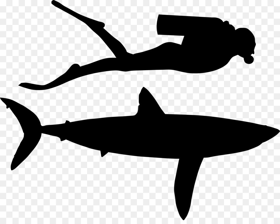 Shark Clip art Fauna Line Silhouette -  png download - 1920*1510 - Free Transparent Shark png Download.