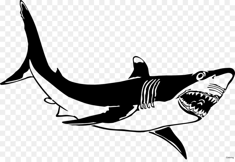 Great white shark Bull shark Isurus oxyrinchus Clip art - shark png download - 1969*1334 - Free Transparent Great White Shark png Download.