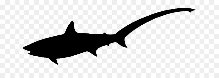 Shark Clip art Black & White - M Fauna Line - shark silhouette png free png download - 800*313 - Free Transparent Shark png Download.