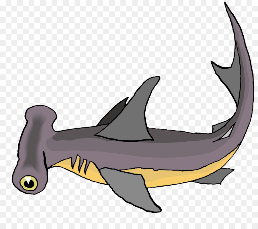Hammerhead shark Bull shark Clip art - Shark vector material png download - 1033*908 - Free Transparent Shark png Download.