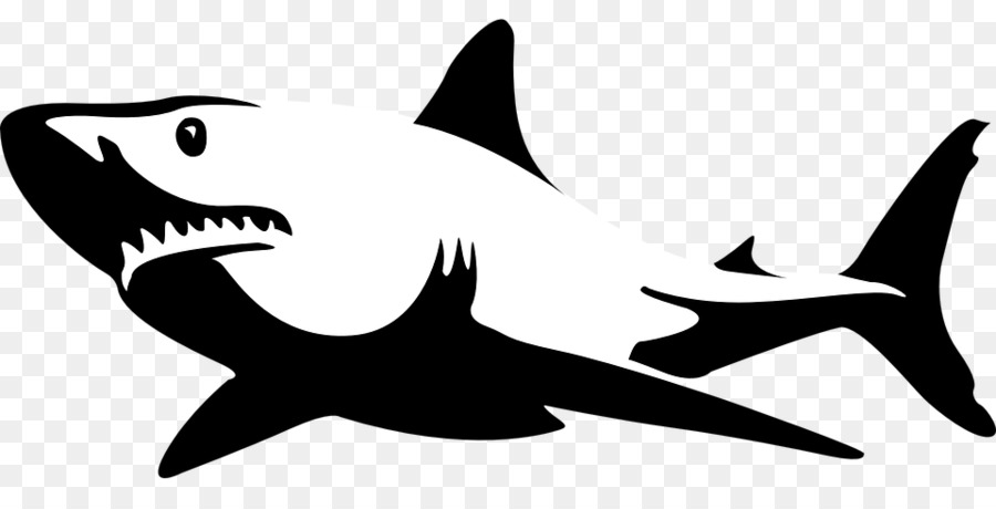 Shark Jaws Great white shark Bull shark Clip art - shark png download - 960*480 - Free Transparent Shark png Download.