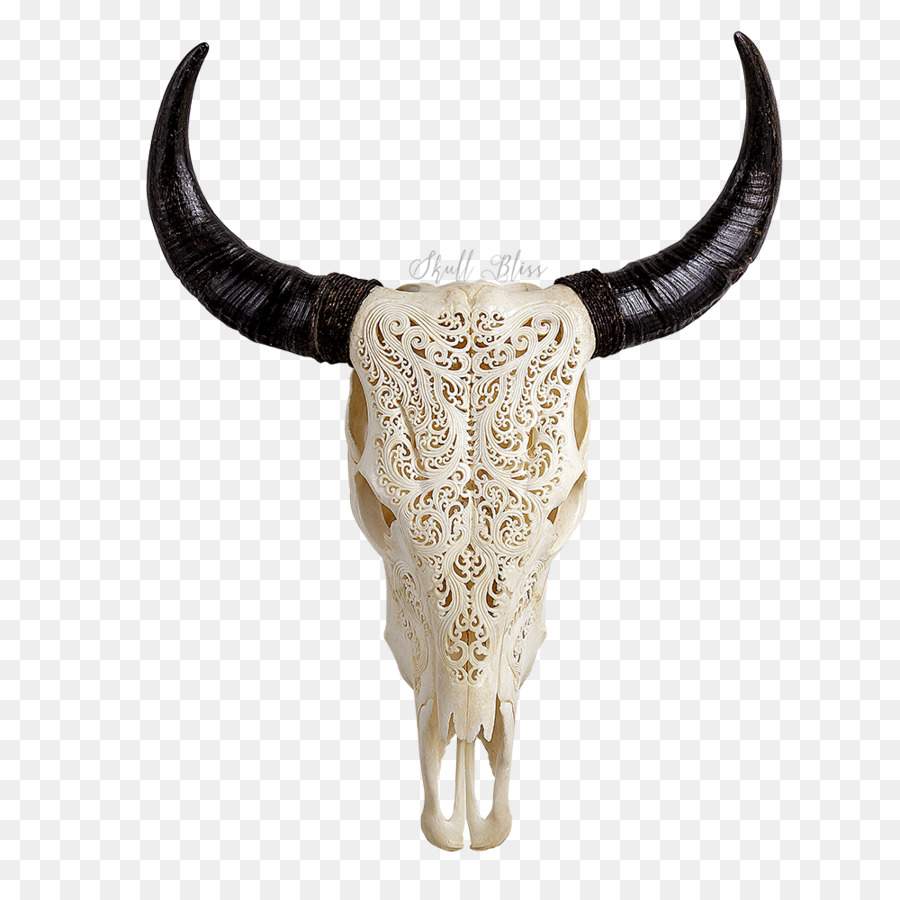 Texas Longhorn Skull Bone Bull - carved pattern png download - 1000*1000 - Free Transparent Texas Longhorn png Download.