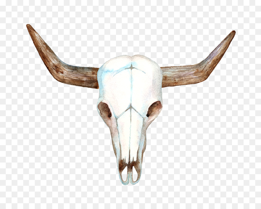 Texas Longhorn Cows Skull: Red, White, and Blue Bull - Hand-painted sheep skull png download - 5000*4000 - Free Transparent Texas Longhorn png Download.