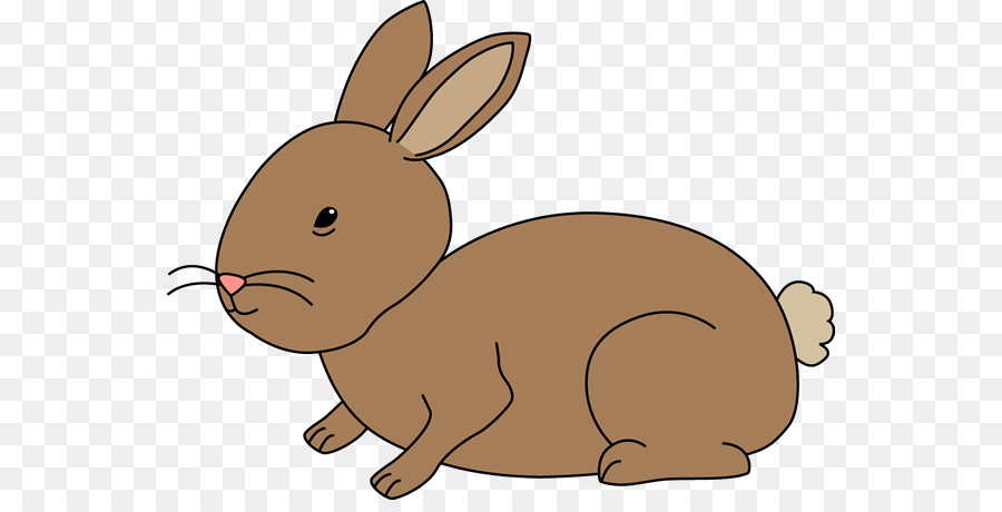 Netherland Dwarf rabbit Clip art - Rabbit Cliparts png download - 600*449 - Free Transparent Netherland Dwarf Rabbit png Download.