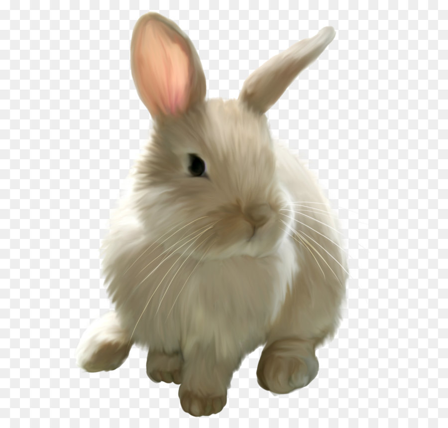 Easter Bunny Rabbit Clip art - Cute Painted Bunny PNG Picture Clipart png download - 708*934 - Free Transparent Easter Bunny png Download.