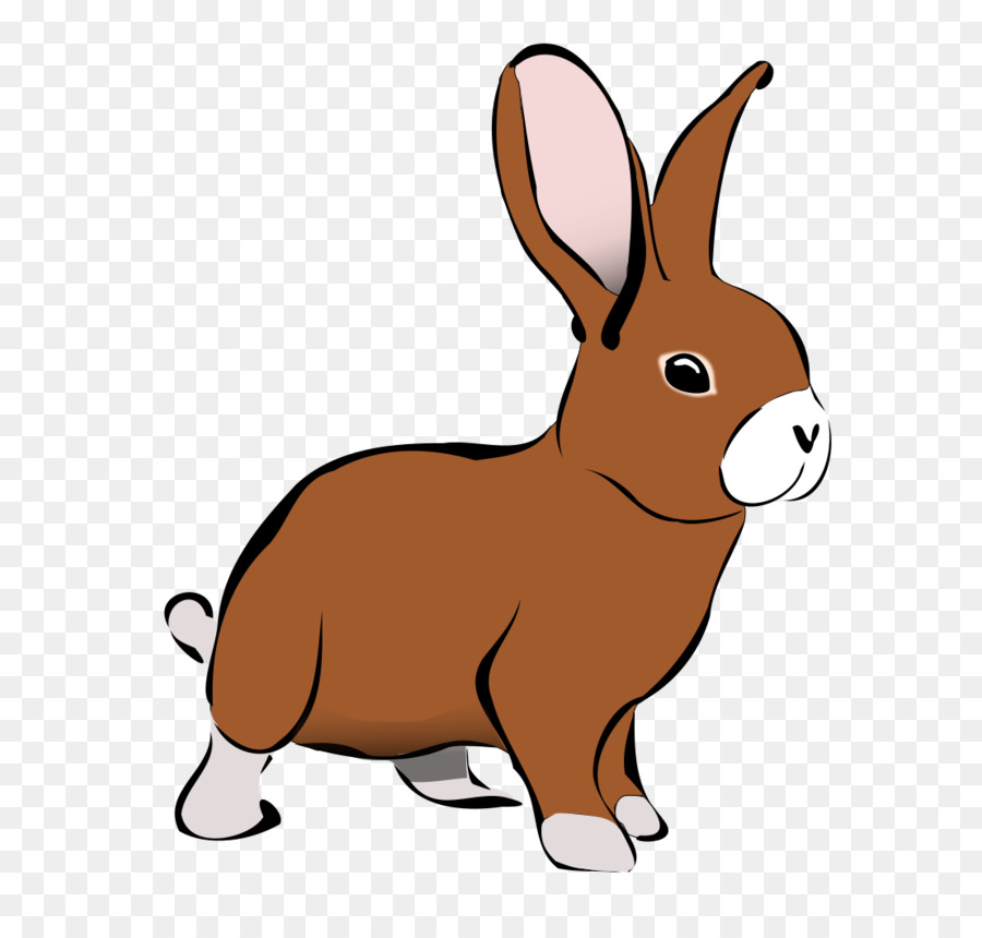 Rabbit Hare Clip art - Rabbit Cliparts png download - 800*1041 - Free Transparent Easter Bunny png Download.