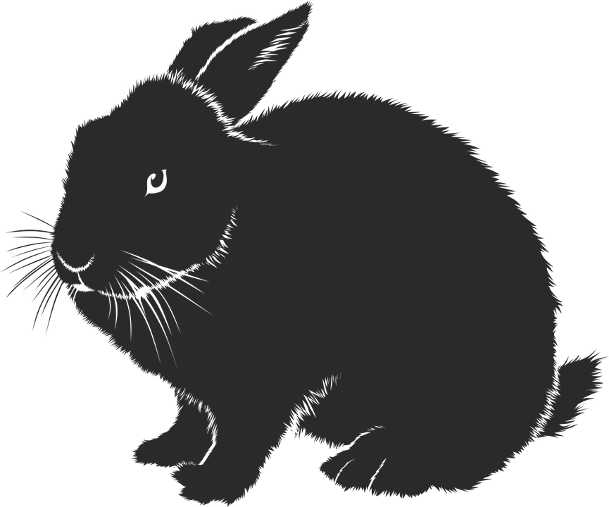 Domestic Rabbit Silhouette Clip Art Rabbit Png Download 865720