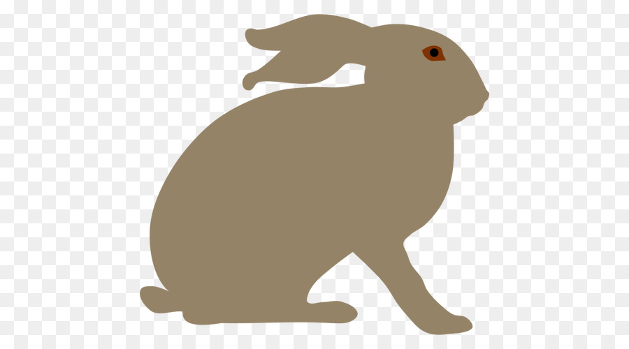 Arctic hare Snowshoe hare Rabbit Clip art - vector rabbit png download - 500*500 - Free Transparent Arctic Hare png Download.