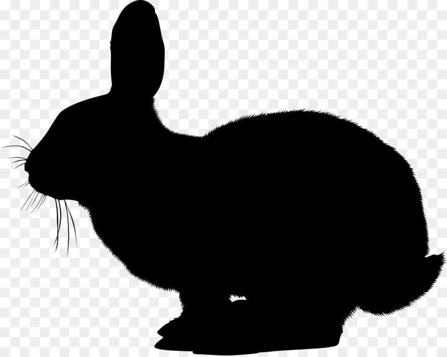 Easter Bunny Hare Vector graphics Clip art stock.xchng -  png download - 2366*1884 - Free Transparent Easter Bunny png Download.