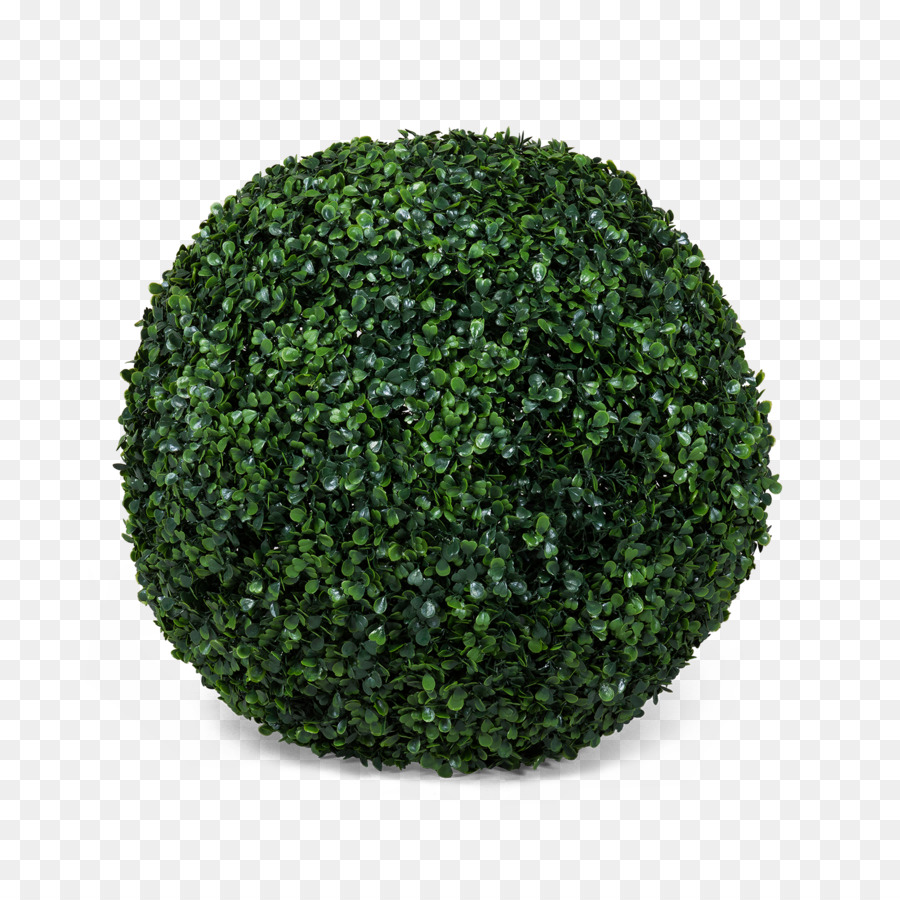 Tree Green Shrub - trifolium png download - 1600*1600 - Free Transparent Tree png Download.