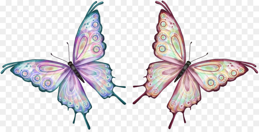 Butterfly Animation Clip art - shadow box png download - 1044*527 - Free Transparent Butterfly png Download.