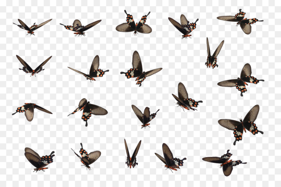 Sprite Butterfly Animated film - sprite png download - 1024*674 - Free Transparent Sprite png Download.