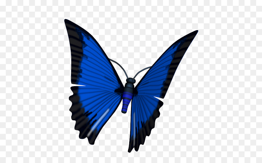 Butterfly Brush-footed butterflies Animated film 3D computer graphics Computer Animation - butterfly png download - 553*543 - Free Transparent Butterfly png Download.