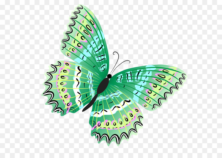 Butterfly Clip art - Green Butterfly PNG Clipart png download - 1629*1560 - Free Transparent Butterfly png Download.