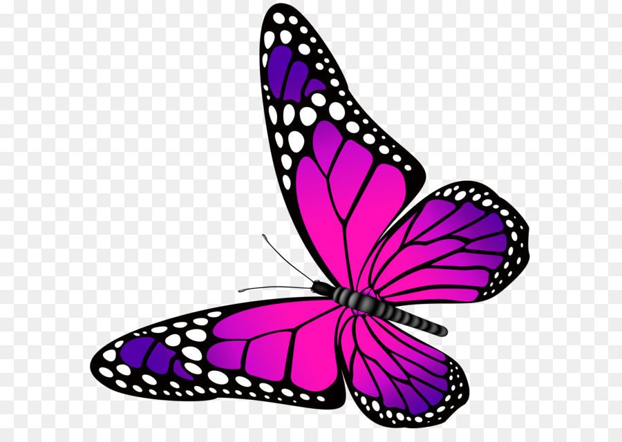 Butterfly Pink Purple Clip art - Butterfly Clip Art png download - 7000*6769 - Free Transparent Butterfly png Download.