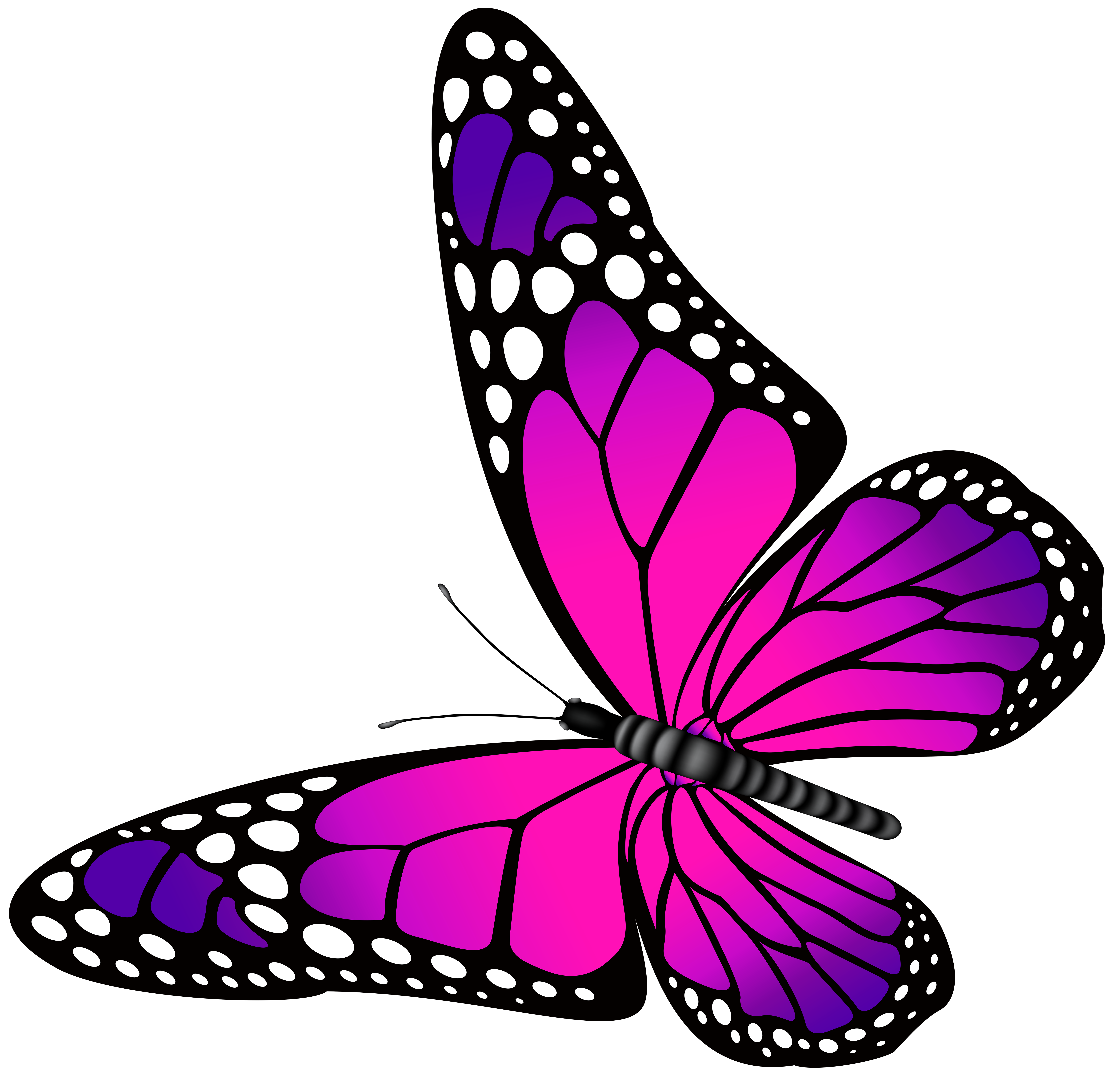 Butterfly Pink Purple Clip art - Butterfly Clip Art png download -  7000*6769 - Free Transparent Butterfly png Download. - Clip Art Library